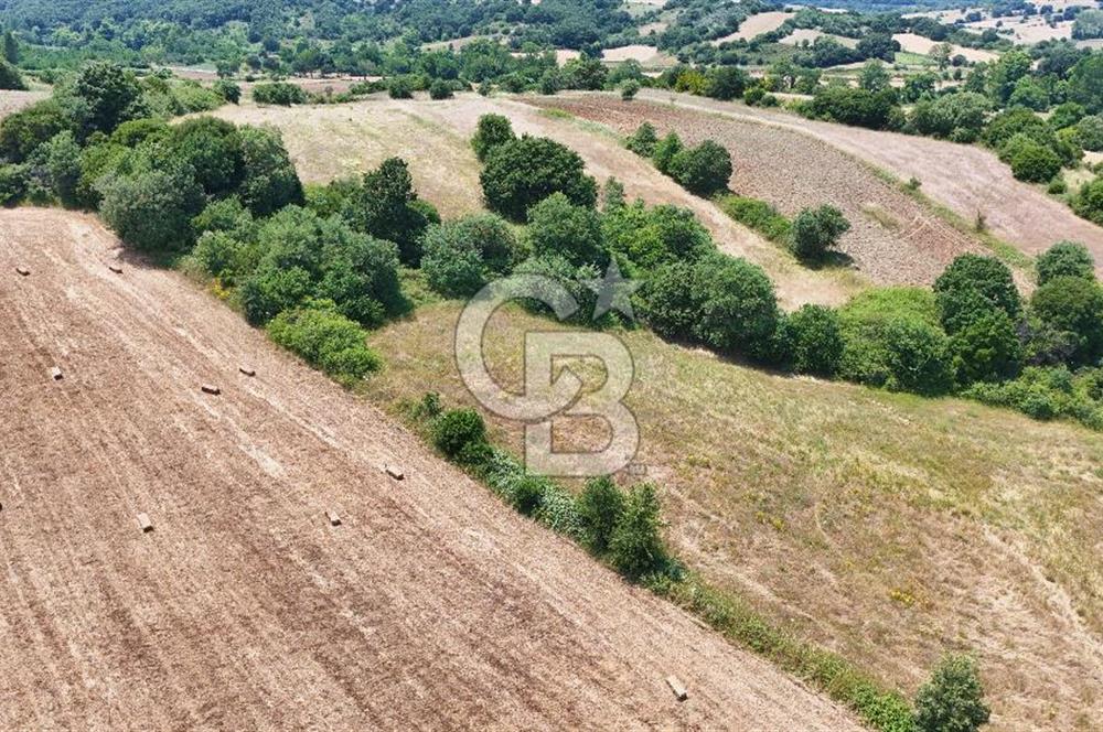 Çanakkale Lapseki Güreci Deniz Manzaralı 2.836 m² Satılık Tarla