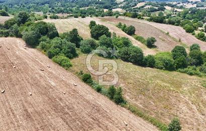 Çanakkale Lapseki Güreci Deniz Manzaralı 2.836 m² Satılık Tarla