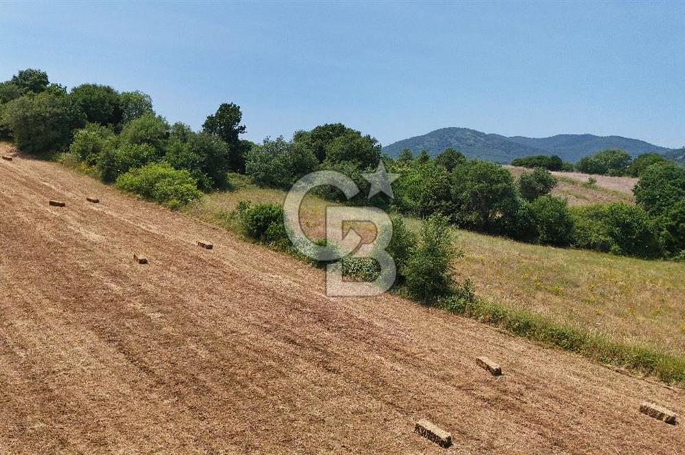 Çanakkale Lapseki Güreci Deniz Manzaralı 2.836 m² Satılık Tarla