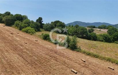 Çanakkale Lapseki Güreci Deniz Manzaralı 2.836 m² Satılık Tarla