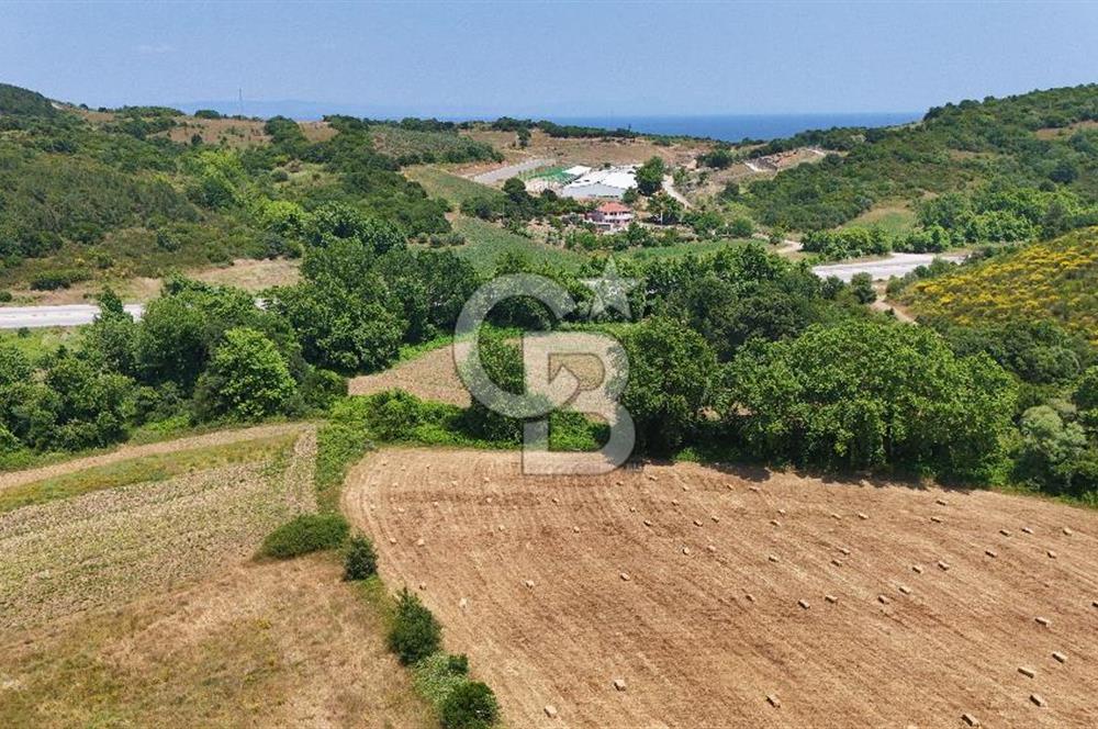 Çanakkale Lapseki Güreci Deniz Manzaralı 2.836 m² Satılık Tarla