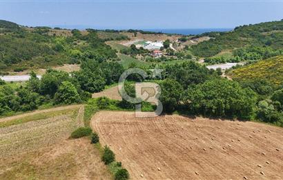 Çanakkale Lapseki Güreci Deniz Manzaralı 2.836 m² Satılık Tarla