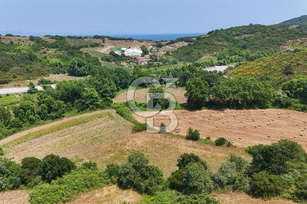 Çanakkale Lapseki Güreci Deniz Manzaralı 2.836 m² Satılık Tarla
