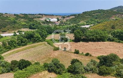 Çanakkale Lapseki Güreci Deniz Manzaralı 2.836 m² Satılık Tarla