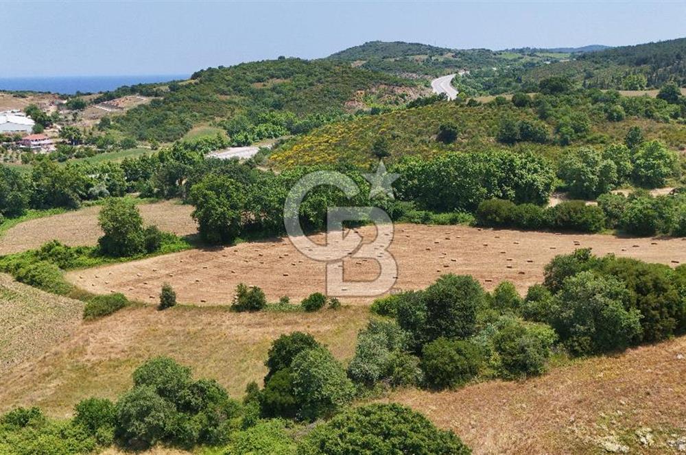 Çanakkale Lapseki Güreci Deniz Manzaralı 2.836 m² Satılık Tarla