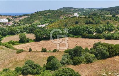 Çanakkale Lapseki Güreci Deniz Manzaralı 2.836 m² Satılık Tarla