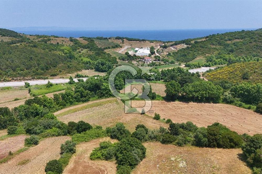 Çanakkale Lapseki Güreci Deniz Manzaralı 2.836 m² Satılık Tarla