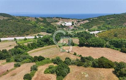 Çanakkale Lapseki Güreci Deniz Manzaralı 2.836 m² Satılık Tarla