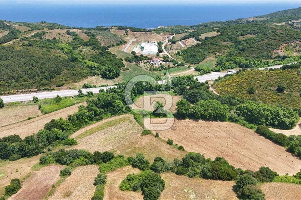 Çanakkale Lapseki Güreci Deniz Manzaralı 2.836 m² Satılık Tarla