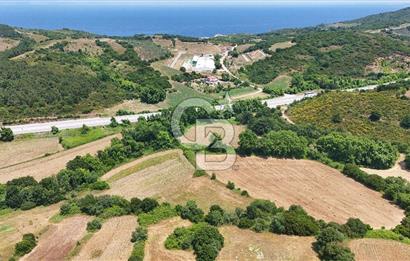 Çanakkale Lapseki Güreci Deniz Manzaralı 2.836 m² Satılık Tarla