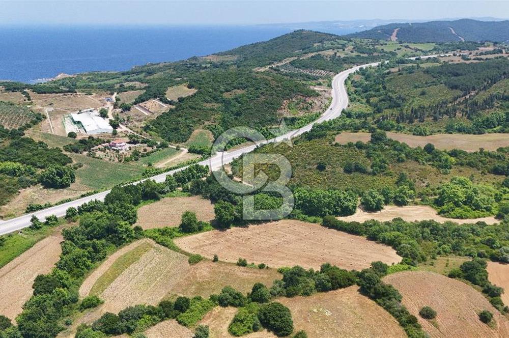 Çanakkale Lapseki Güreci Deniz Manzaralı 2.836 m² Satılık Tarla