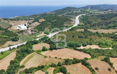 Çanakkale Lapseki Güreci Deniz Manzaralı 2.836 m² Satılık Tarla