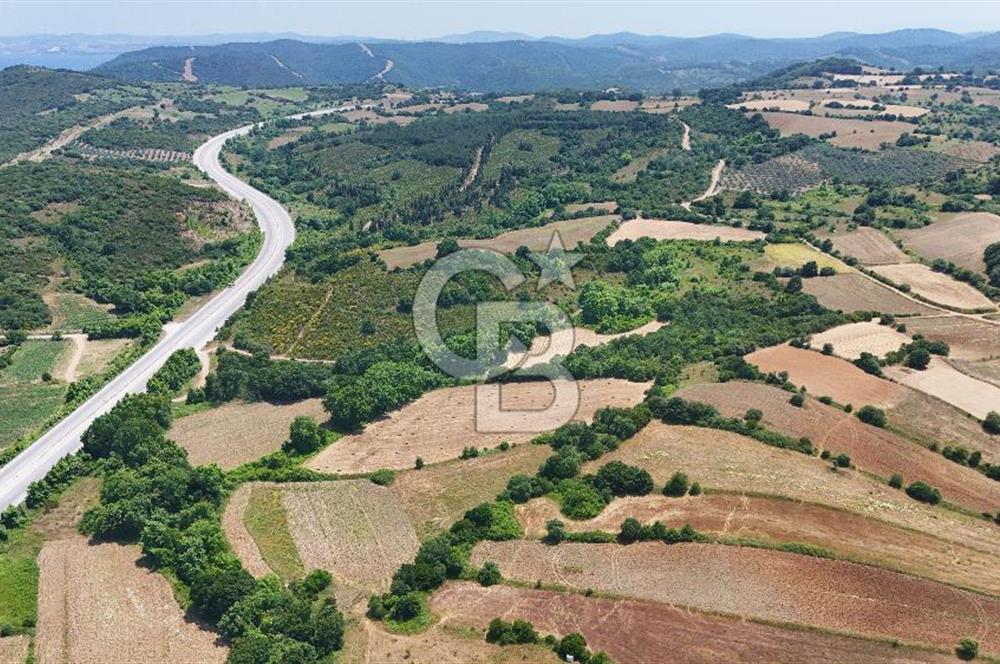 Çanakkale Lapseki Güreci Deniz Manzaralı 2.836 m² Satılık Tarla