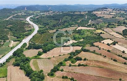 Çanakkale Lapseki Güreci Deniz Manzaralı 2.836 m² Satılık Tarla