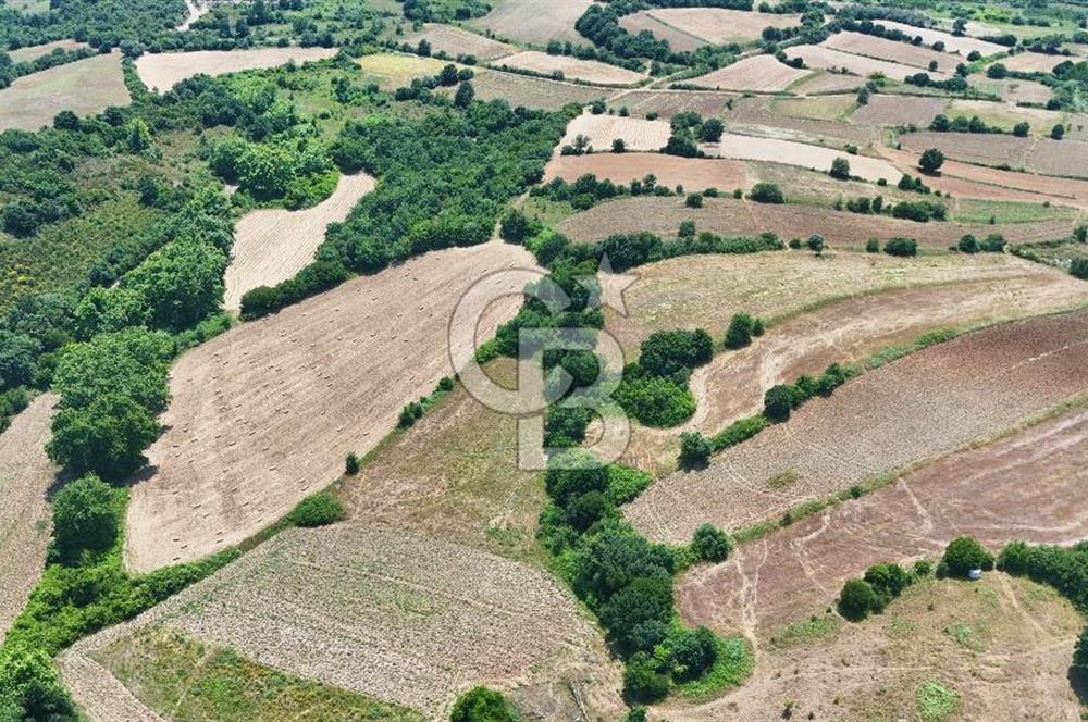 Çanakkale Lapseki Güreci Deniz Manzaralı 2.836 m² Satılık Tarla