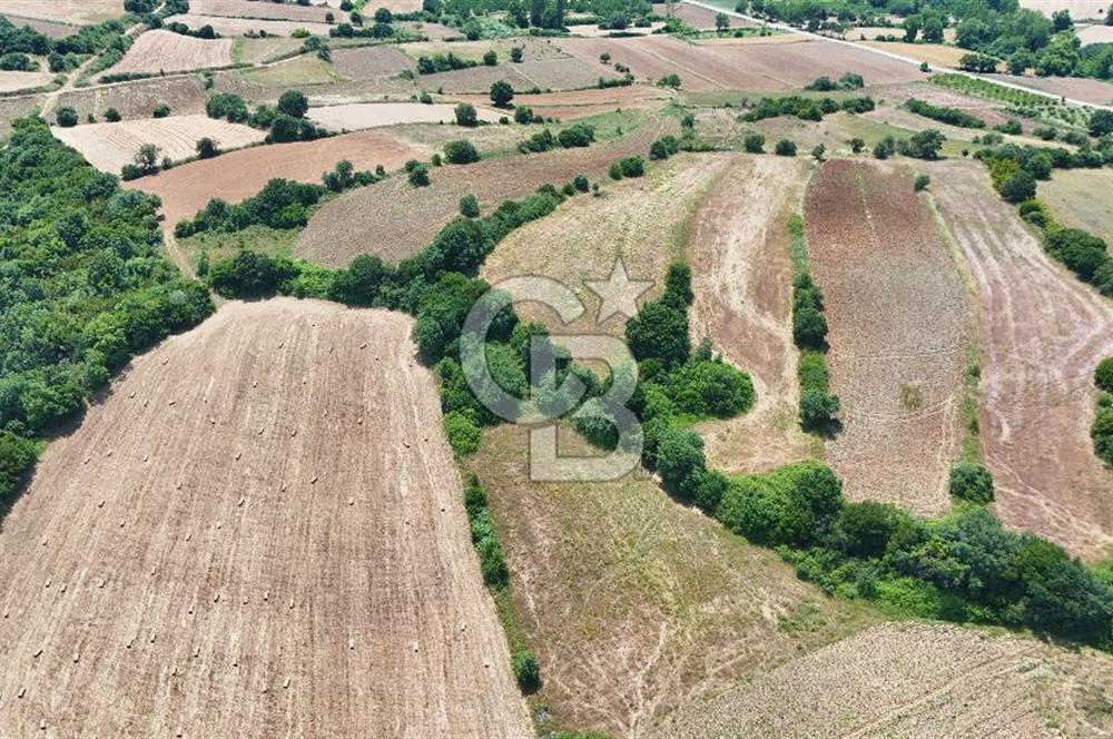 Çanakkale Lapseki Güreci Deniz Manzaralı 2.836 m² Satılık Tarla