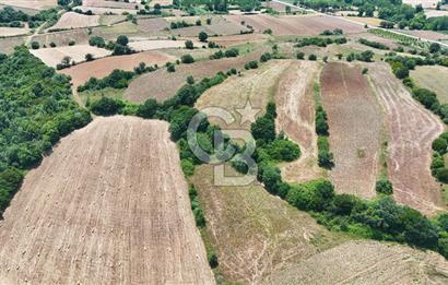 Çanakkale Lapseki Güreci Deniz Manzaralı 2.836 m² Satılık Tarla