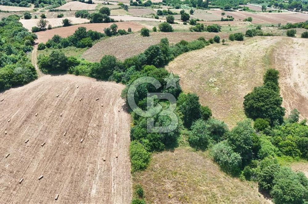 Çanakkale Lapseki Güreci Deniz Manzaralı 2.836 m² Satılık Tarla