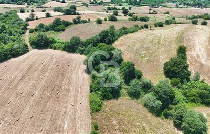 Çanakkale Lapseki Güreci Deniz Manzaralı 2.836 m² Satılık Tarla