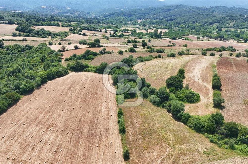 Çanakkale Lapseki Güreci Deniz Manzaralı 2.836 m² Satılık Tarla