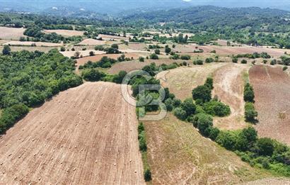 Çanakkale Lapseki Güreci Deniz Manzaralı 2.836 m² Satılık Tarla