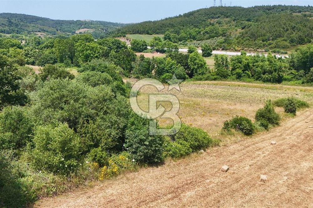 Çanakkale Lapseki Güreci Deniz Manzaralı 2.836 m² Satılık Tarla