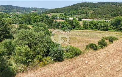 Çanakkale Lapseki Güreci Deniz Manzaralı 2.836 m² Satılık Tarla