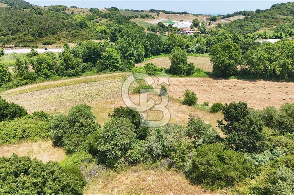 Çanakkale Lapseki Güreci Deniz Manzaralı 2.836 m² Satılık Tarla