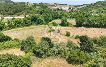 Çanakkale Lapseki Güreci Deniz Manzaralı 2.836 m² Satılık Tarla