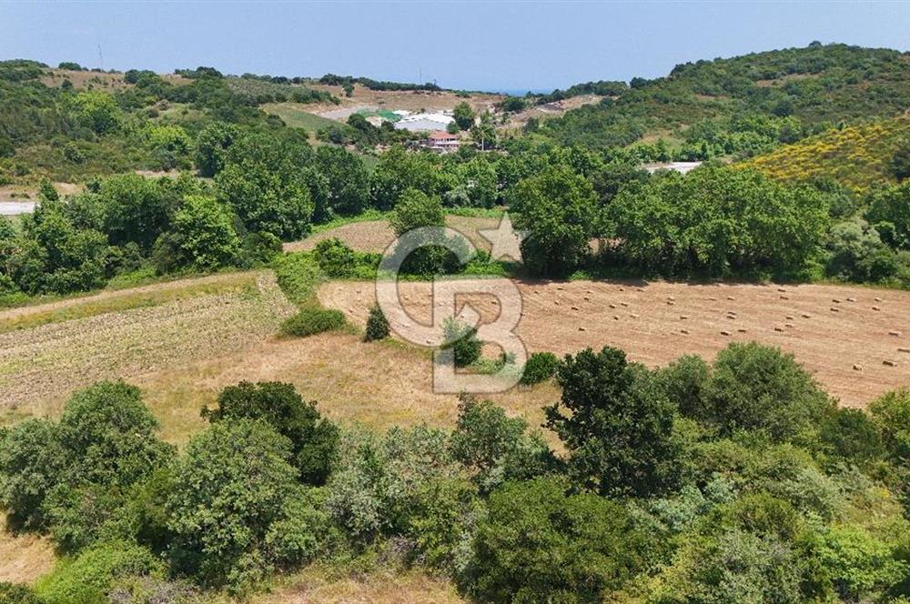 Çanakkale Lapseki Güreci Deniz Manzaralı 2.836 m² Satılık Tarla