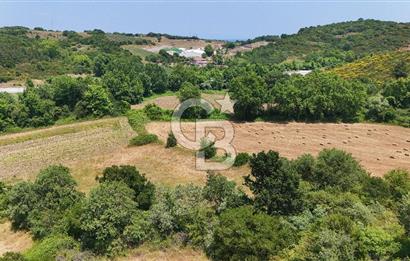 Çanakkale Lapseki Güreci Deniz Manzaralı 2.836 m² Satılık Tarla