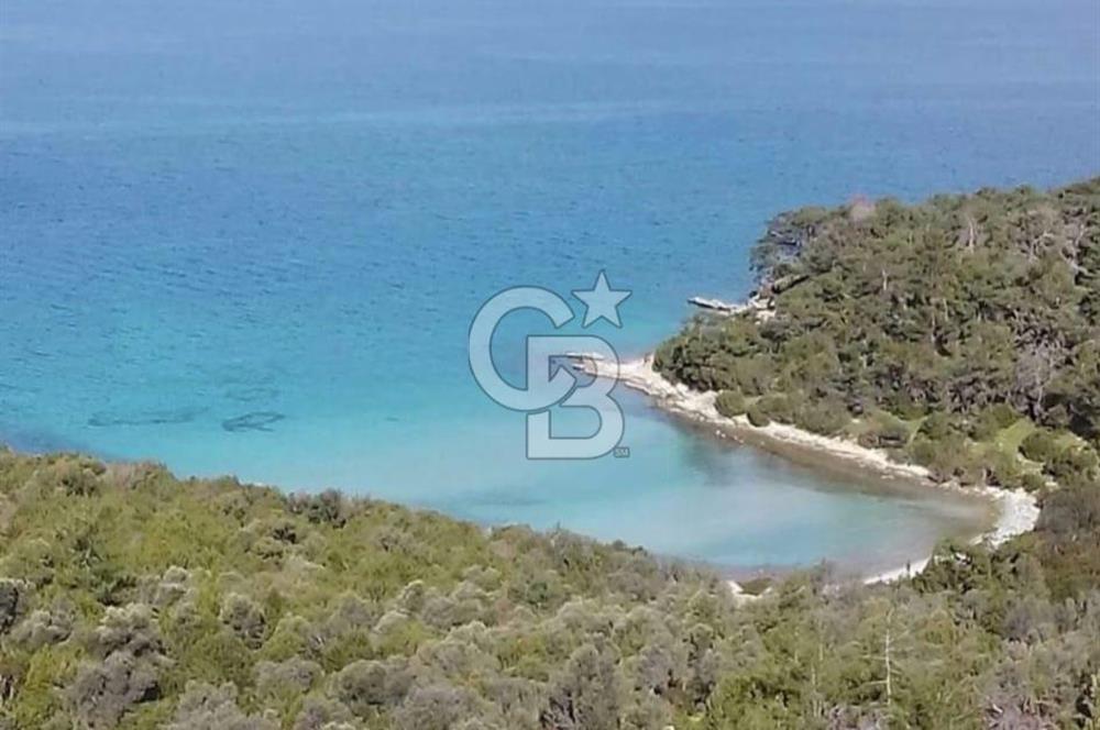 DENİZE 500 METRE 1+1 BAHÇE KATI YAZLIK DAİRE