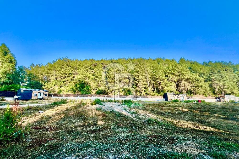 Muğla Ula Çıtlık’ta 257 m2 Satılık Parsel, Hobi Bahçesi