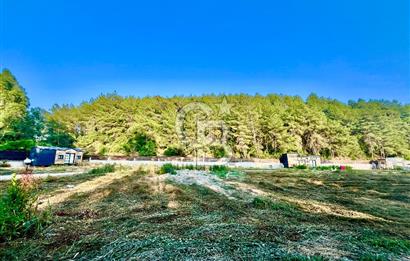 Muğla Ula Çıtlık’ta 257 m2 Satılık Parsel, Hobi Bahçesi