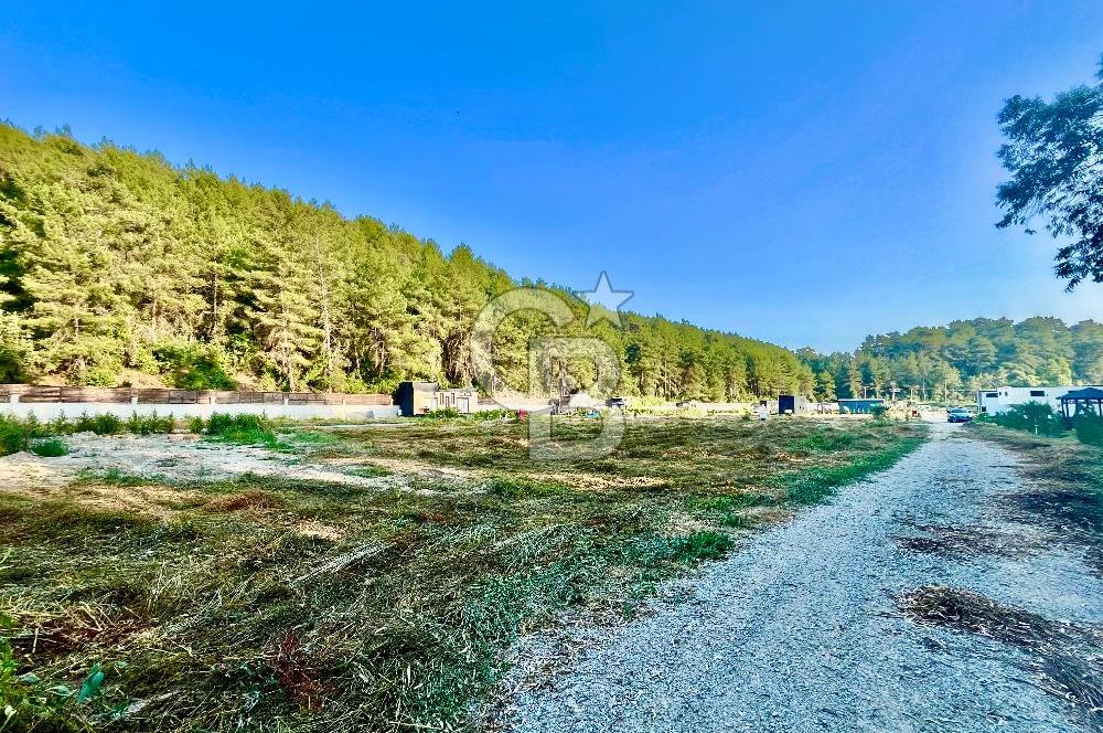 Muğla Ula Çıtlık’ta 257 m2 Satılık Parsel, Hobi Bahçesi