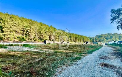 Muğla Ula Çıtlık’ta 257 m2 Satılık Parsel, Hobi Bahçesi