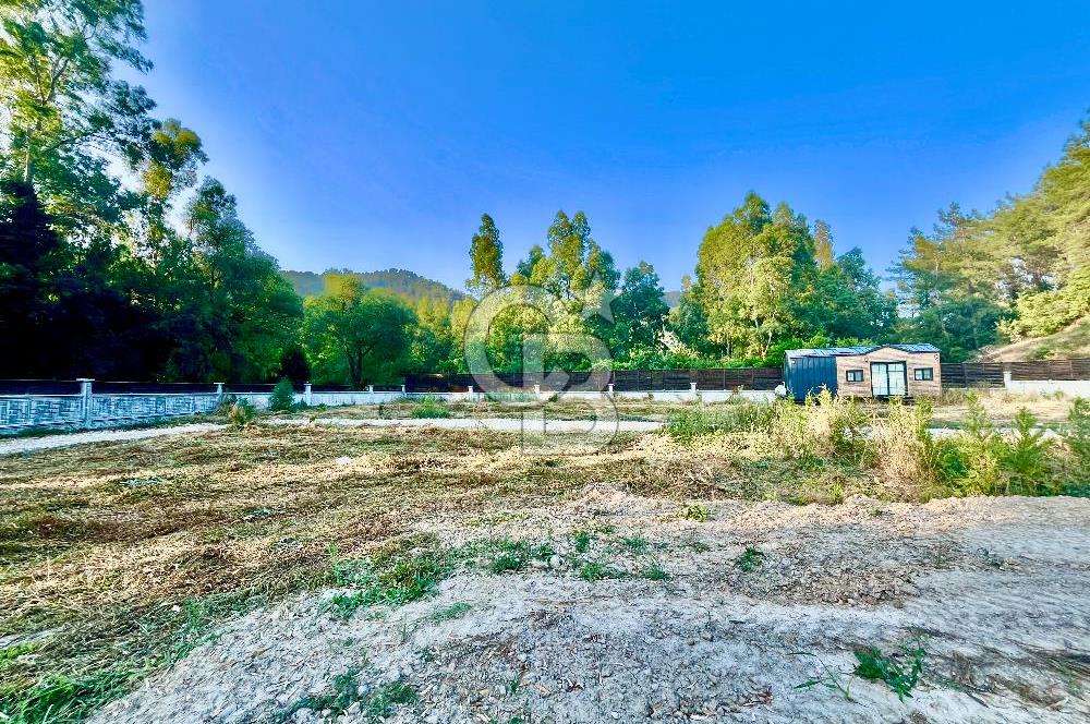 Muğla Ula Çıtlık’ta 257 m2 Satılık Parsel, Hobi Bahçesi