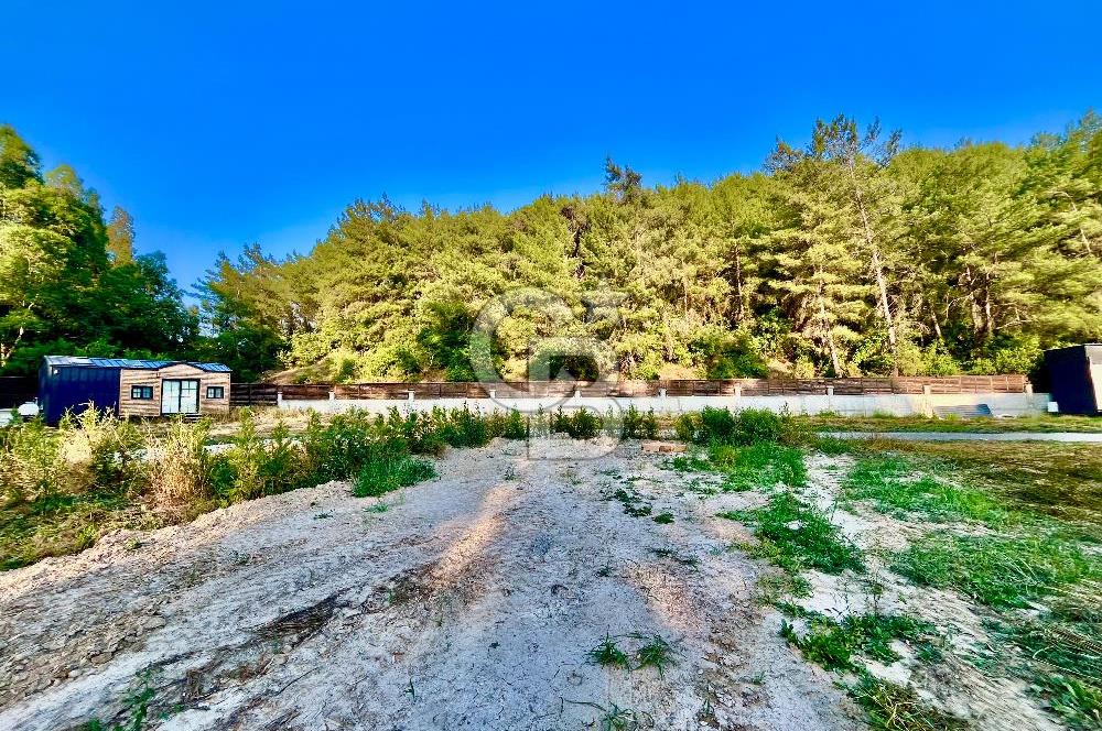 Muğla Ula Çıtlık’ta 257 m2 Satılık Parsel, Hobi Bahçesi