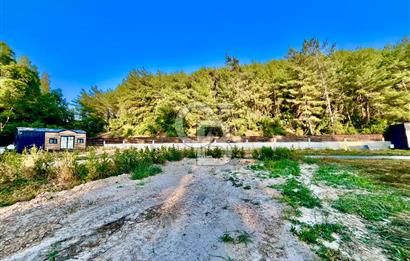 Muğla Ula Çıtlık’ta 257 m2 Satılık Parsel, Hobi Bahçesi