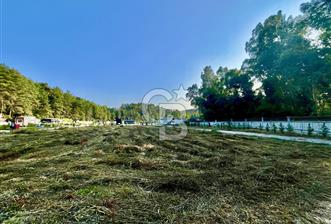 Muğla Ula Çıtlık’ta 257 m2 Satılık Parsel, Hobi Bahçesi
