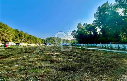 Muğla Ula Çıtlık’ta 257 m2 Satılık Parsel, Hobi Bahçesi