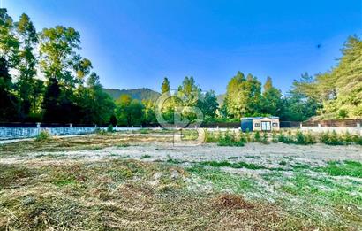 Muğla Ula Çıtlık’ta 257 m2 Satılık Parsel, Hobi Bahçesi