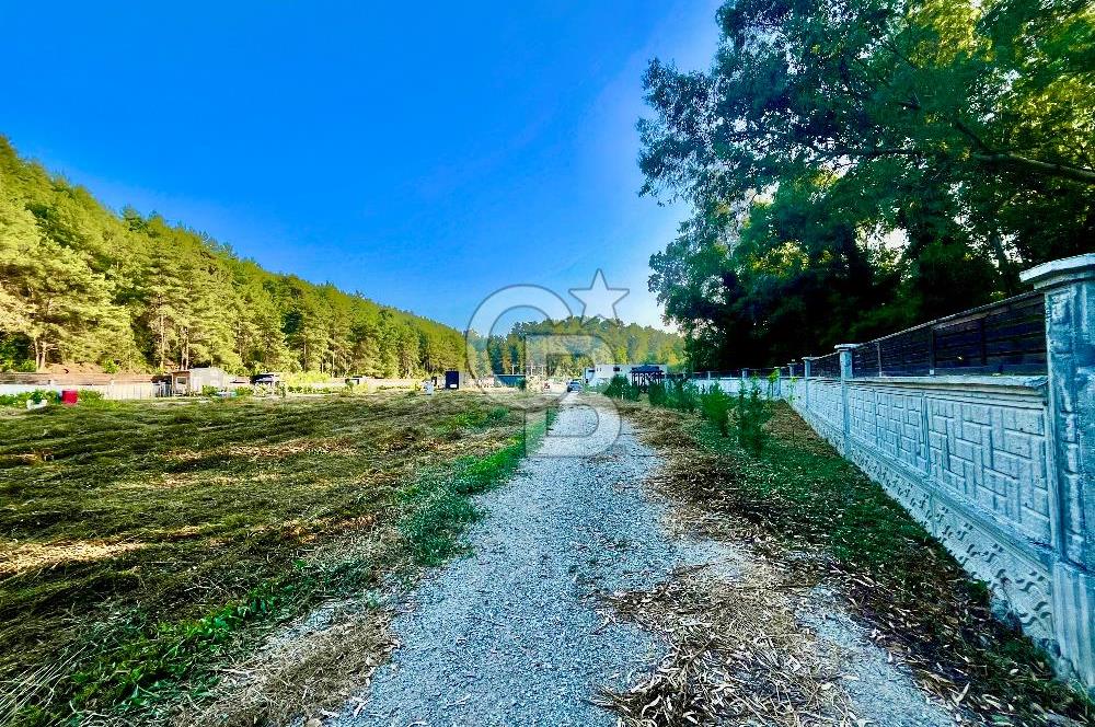 Muğla Ula Çıtlık’ta 257 m2 Satılık Parsel, Hobi Bahçesi