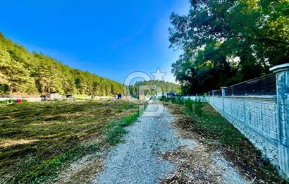 Muğla Ula Çıtlık’ta 257 m2 Satılık Parsel, Hobi Bahçesi