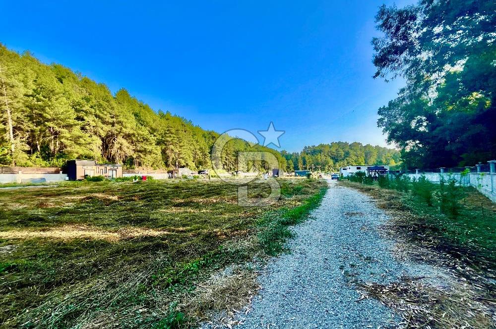 Muğla Ula Çıtlık’ta 257 m2 Satılık Parsel, Hobi Bahçesi