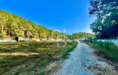 Muğla Ula Çıtlık’ta 257 m2 Satılık Parsel, Hobi Bahçesi