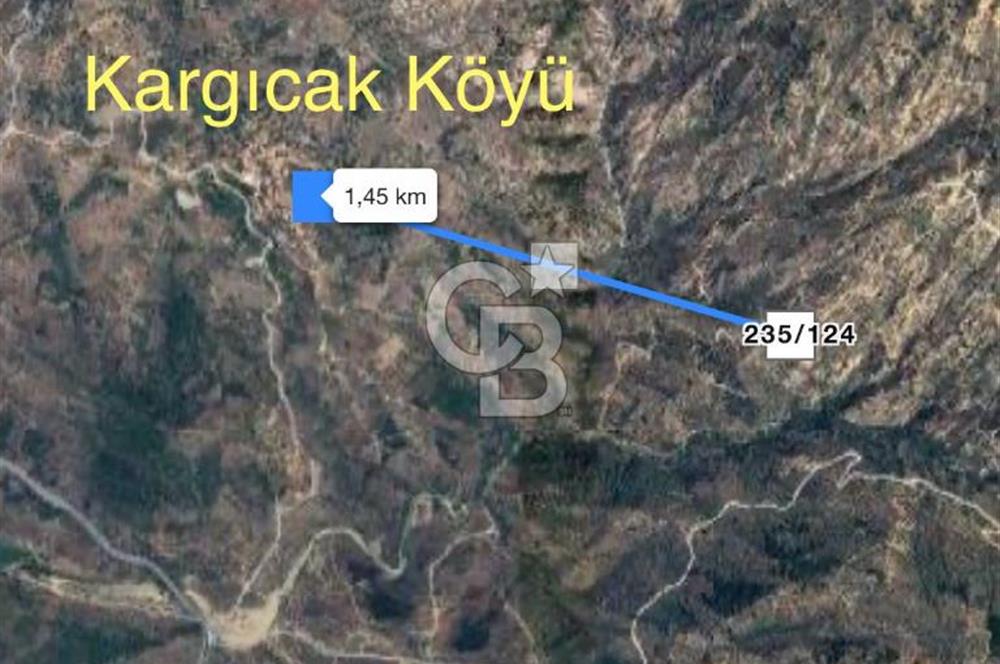 Milas Çamlıyurt Köyü Kargıcak Köyüne Yakın Yatırımlık Zeytinlik
