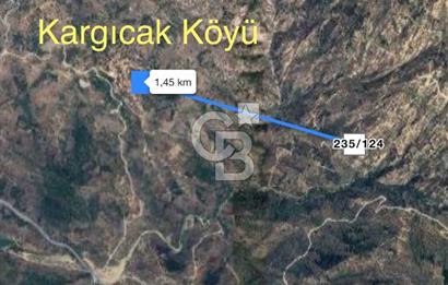 Milas Çamlıyurt Köyü Kargıcak Köyüne Yakın Yatırımlık Zeytinlik