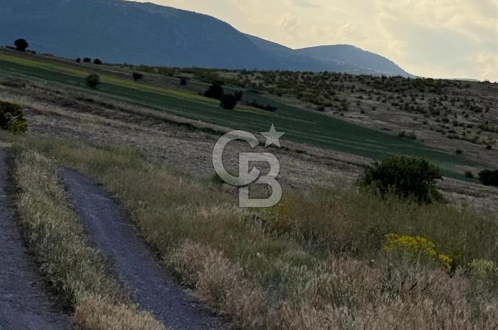 ANKARA GÜDÜL TAŞÖREN'DE BEYPAZARI YOLUNA 550 M MÜSTAKİL TARLA