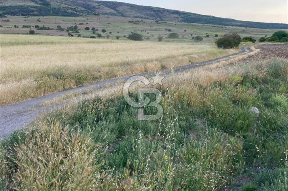 ANKARA GÜDÜL TAŞÖREN'DE BEYPAZARI YOLUNA 550 M MÜSTAKİL TARLA
